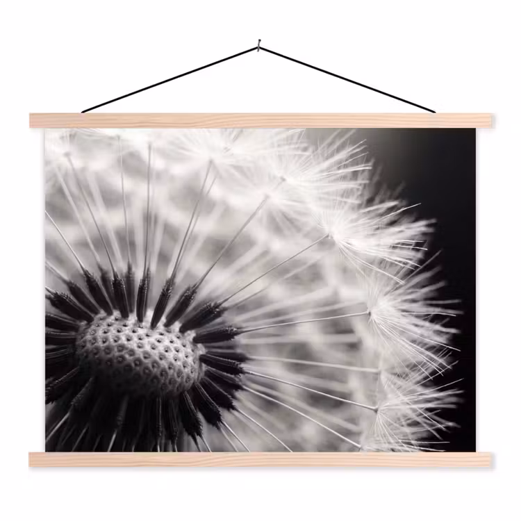 Schoolplaat - Paardenbloem - Zwart - Wit
