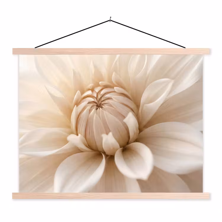Schoolplaat - Bloem - Dahlia - Wit