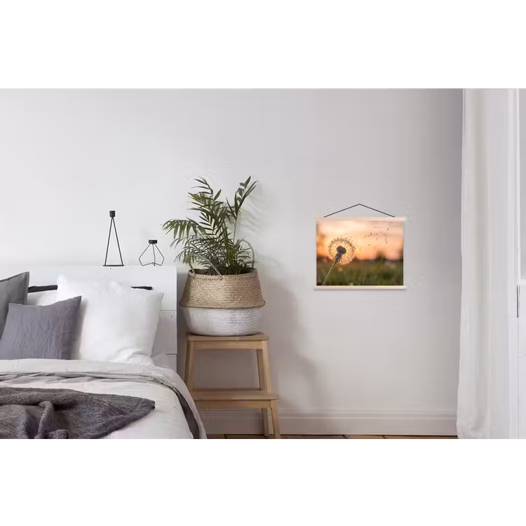 Schoolplaat - Paardenbloem - Zonsondergang - Veld — 2