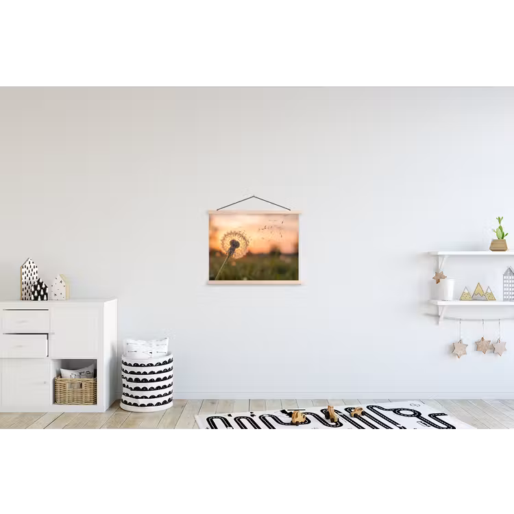 Schoolplaat - Paardenbloem - Zonsondergang - Veld — 3