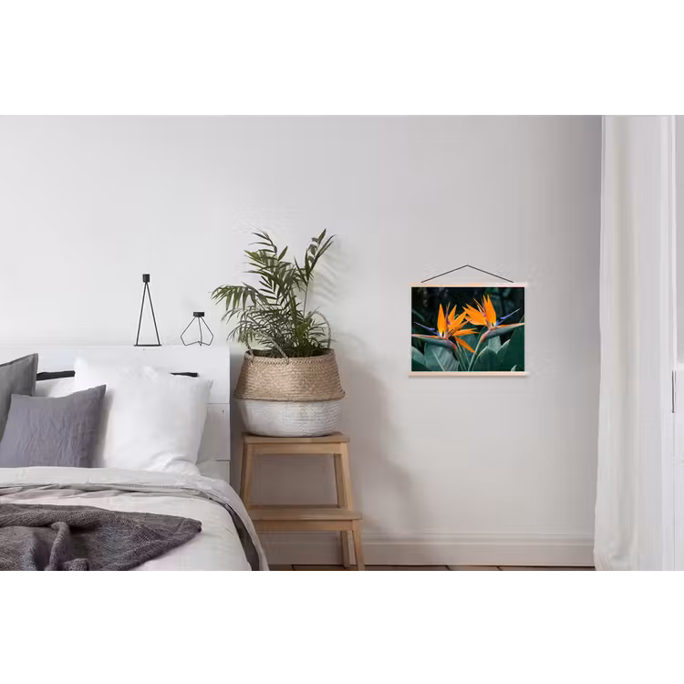 Schoolplaat - Paradijsvogel - Bloem - Exotisch — 2