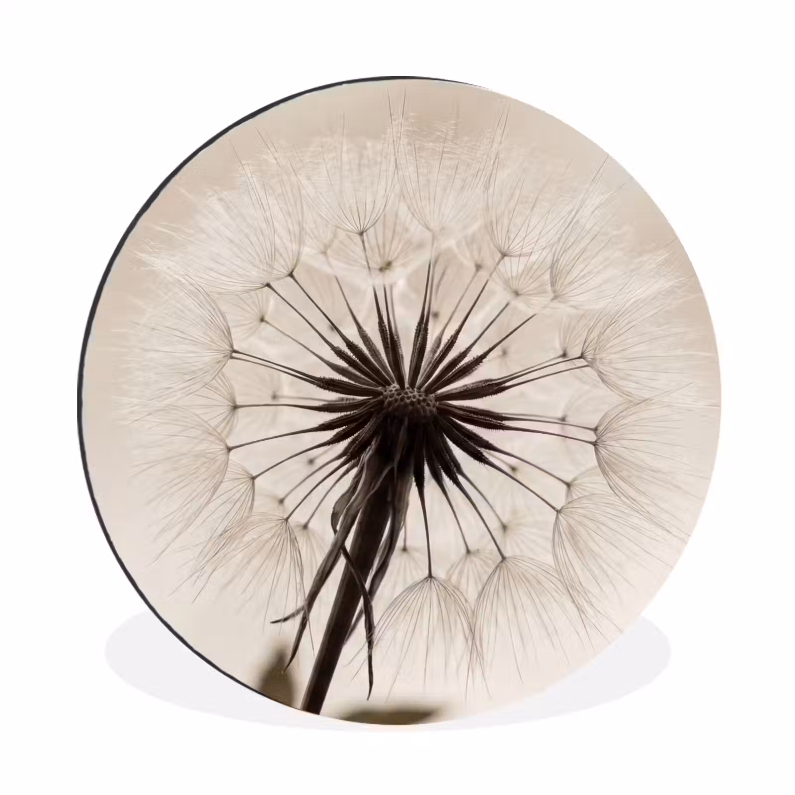Wandcirkel - Aluminium - Paardenbloem - Minimalistisch - Wit — 1