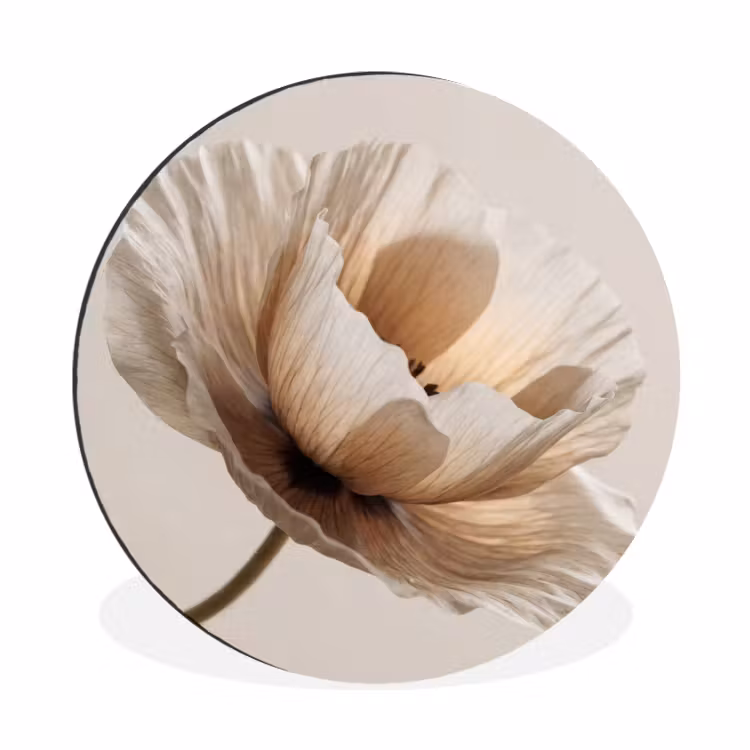 Wandcirkel - Aluminium - Bloem - Beige - Crème