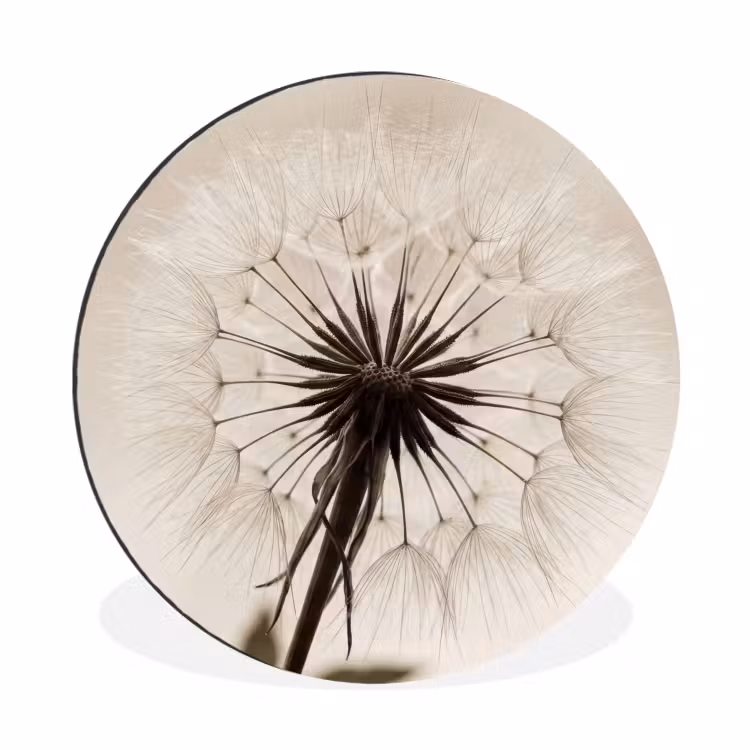 Wandcirkel - Aluminium - Paardenbloem - Minimalistisch - Wit