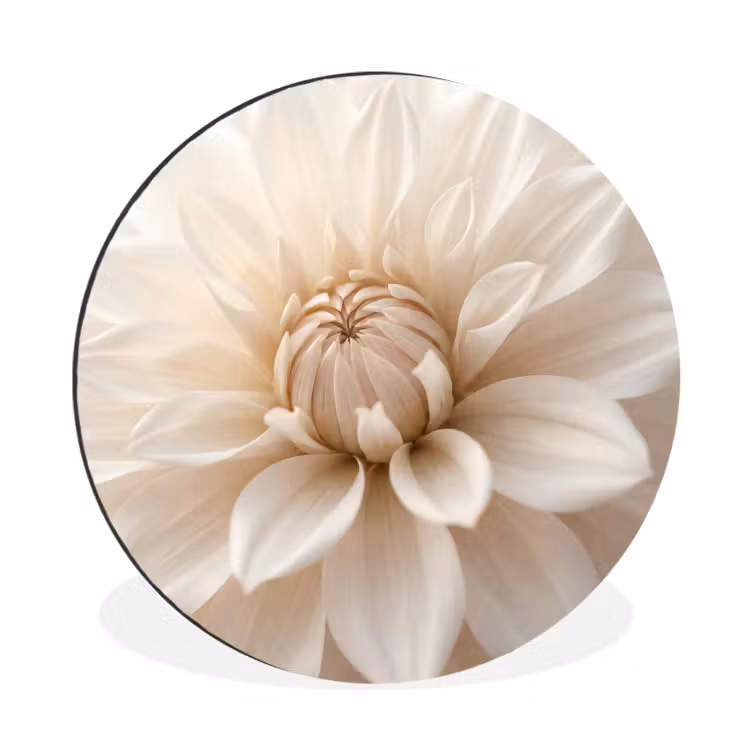 Wandcirkel - Aluminium - Bloem - Dahlia - Wit