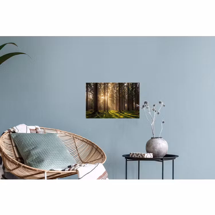 Muursticker - Bos - Gras - Zonlicht — 4