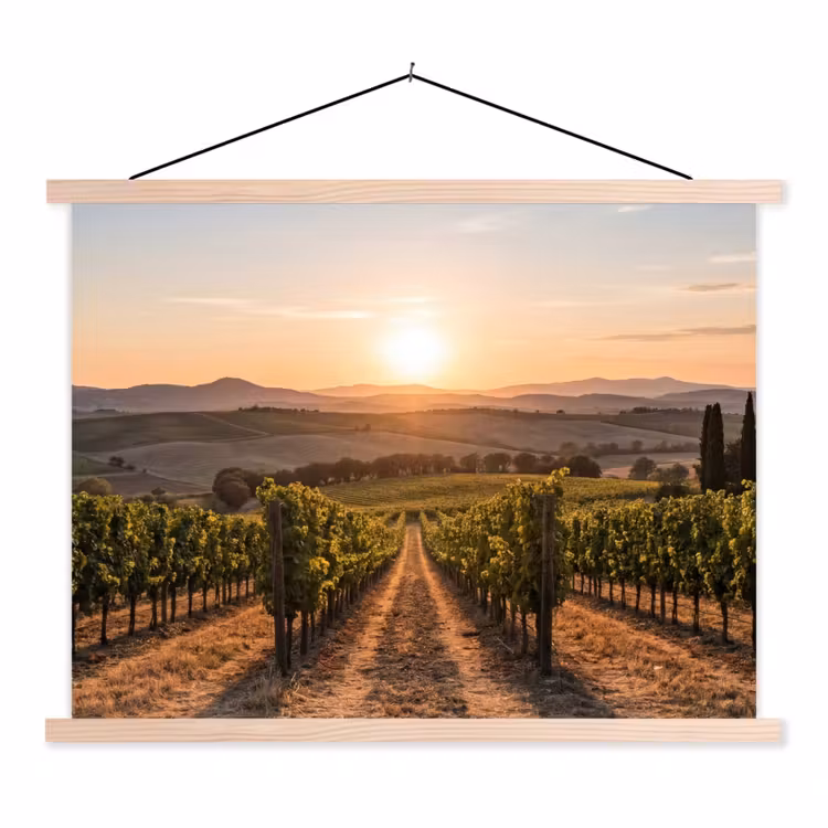 Schoolplaat - Wijngaard - Zonsondergang - Landschap — 1