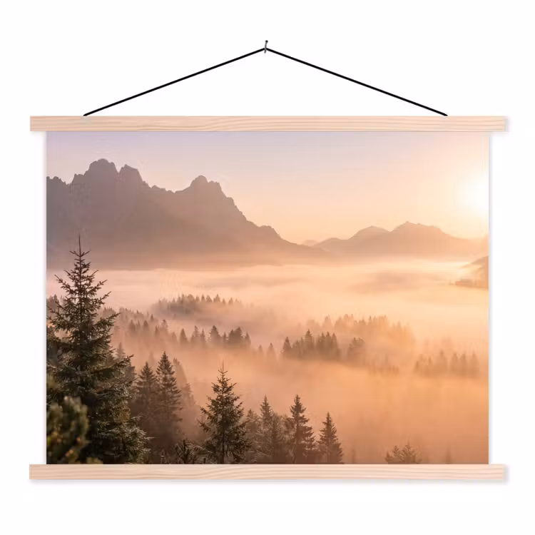 Schoolplaat - Zonlicht - Mist - Bergen - Bomen — 1