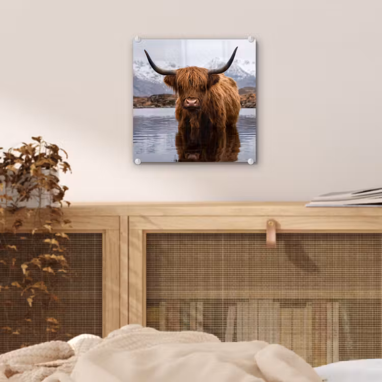 Glas schilderij - Schotse hooglander - Bruin - Water — 5