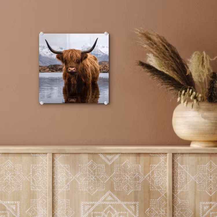 Glas schilderij - Schotse hooglander - Bruin - Water — 6