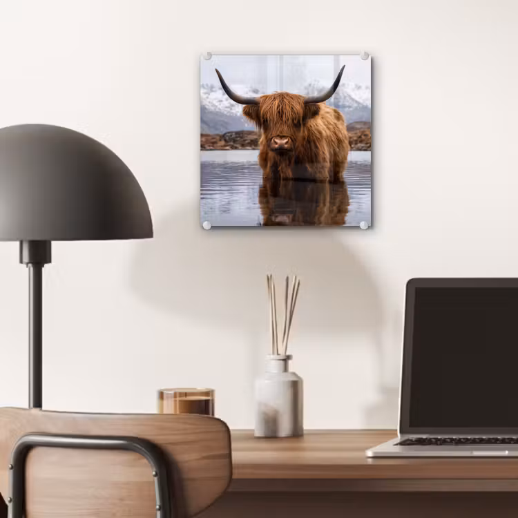 Glas schilderij - Schotse hooglander - Bruin - Water — 7