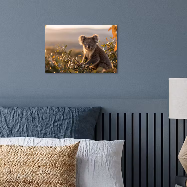 Poster - Koala - Bladeren - Ochtendlicht — 3