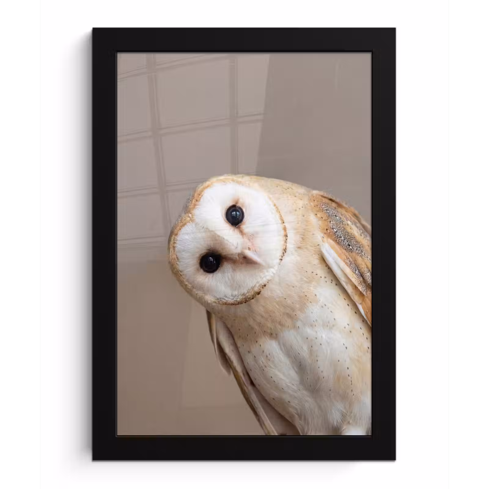 Poster met lijst - Uil - Bruin - Wit — 1