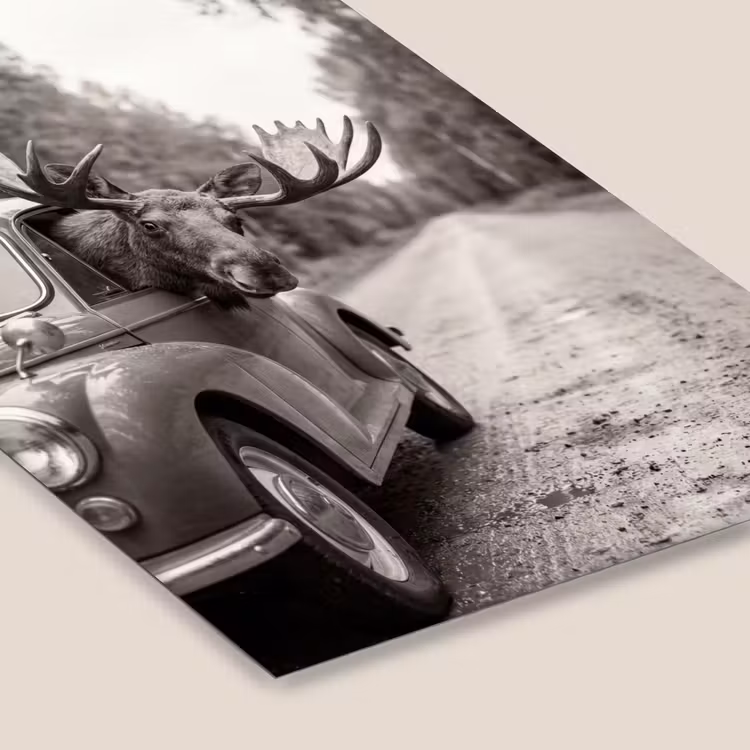 Poster met lijst - Eland in Oldtimer — 7
