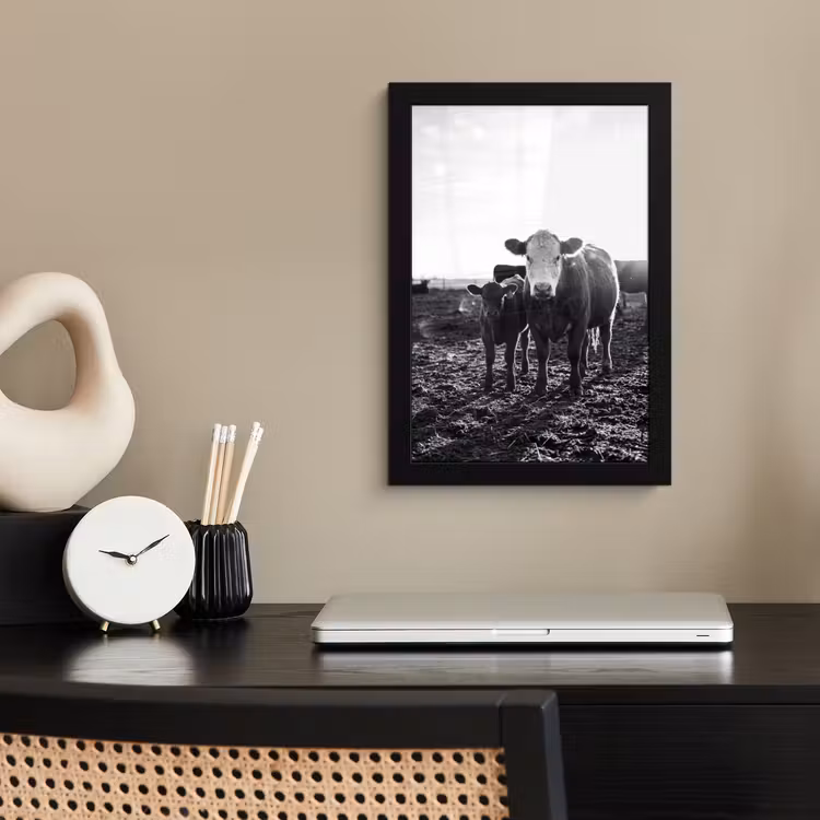 Poster met lijst - Koe met Kalf Zwart Wit — 2