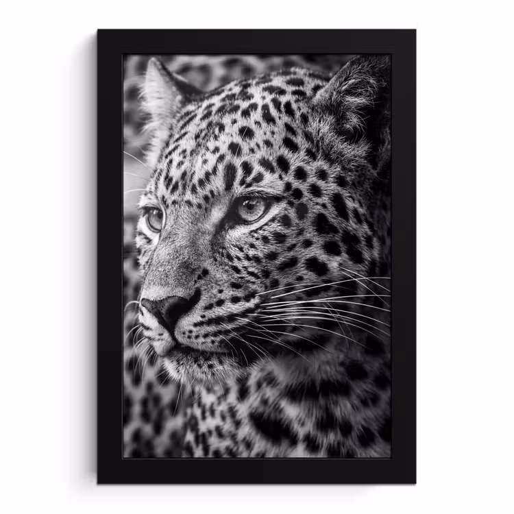 Poster met lijst - Luipaard Close-up Zwart Wit