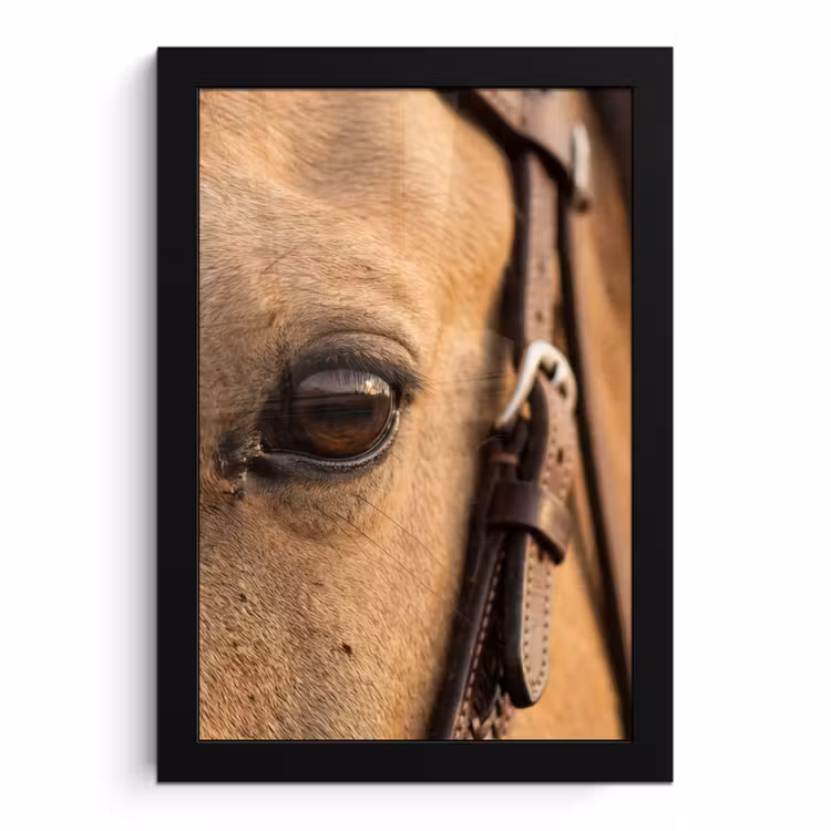 Poster met lijst - Paard - Oog - Bruin