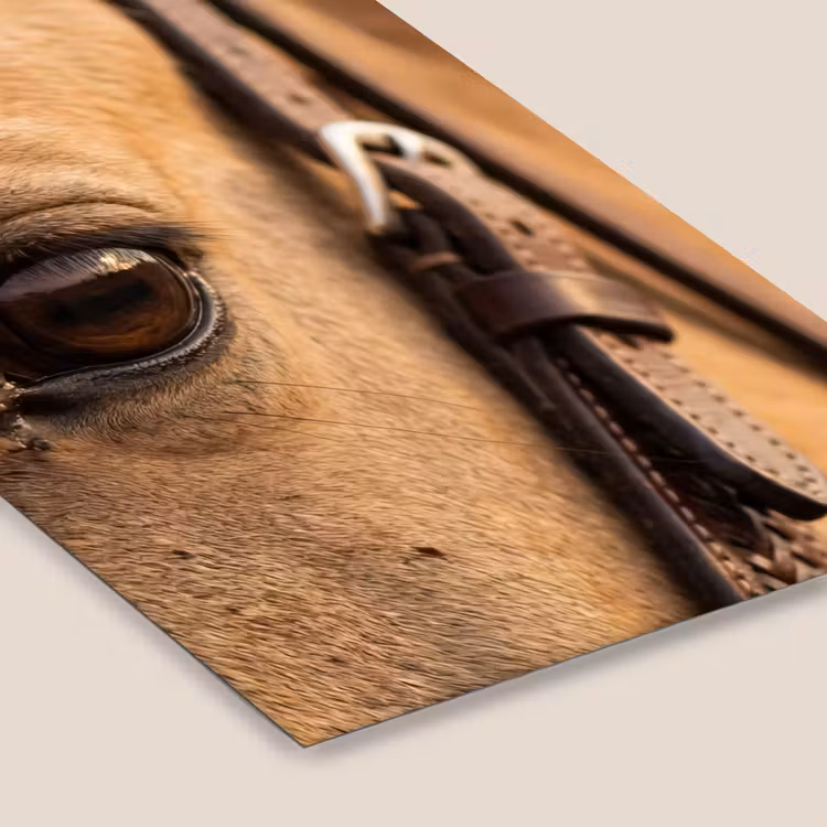 Poster met lijst - Paard - Oog - Bruin — 7