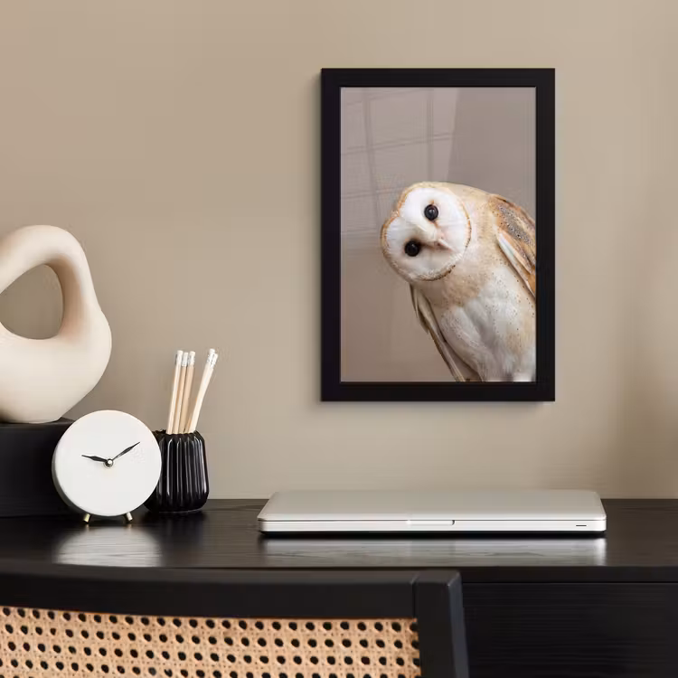 Poster met lijst - Uil - Bruin - Wit — 2