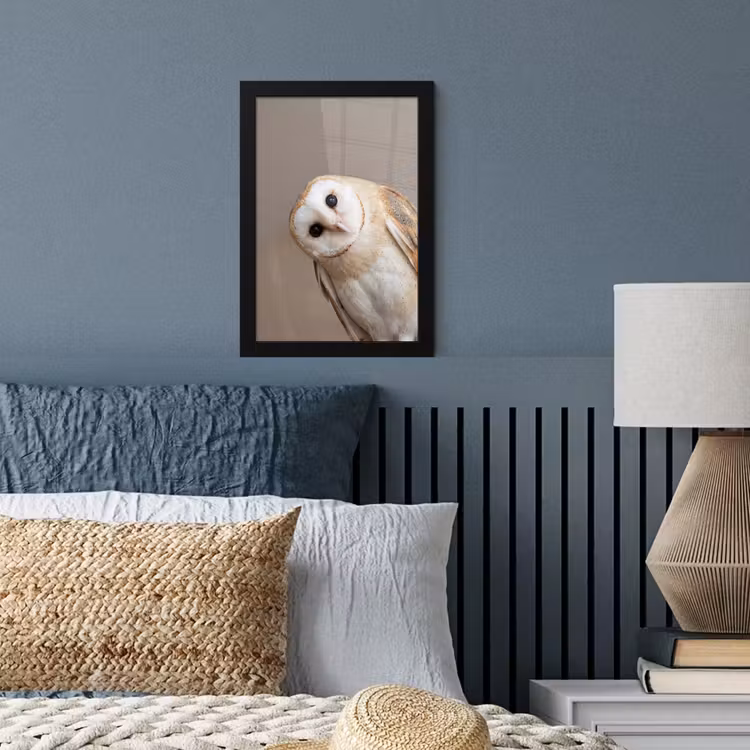 Poster met lijst - Uil - Bruin - Wit — 3