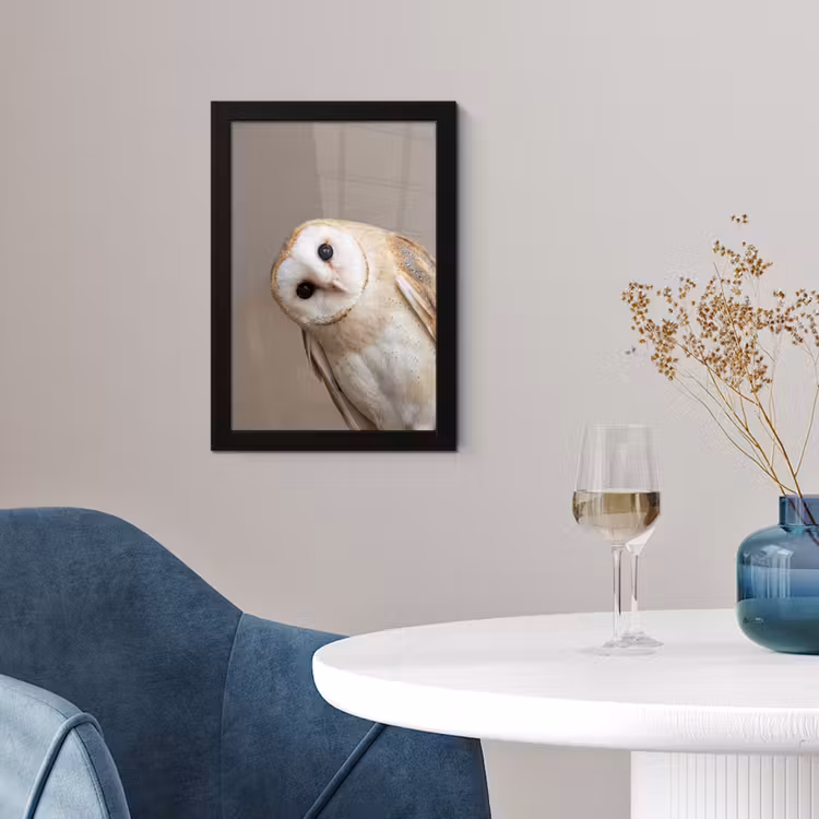 Poster met lijst - Uil - Bruin - Wit — 4
