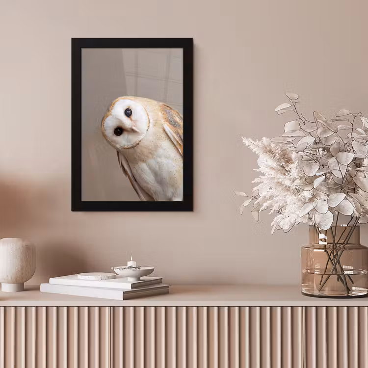 Poster met lijst - Uil - Bruin - Wit — 5