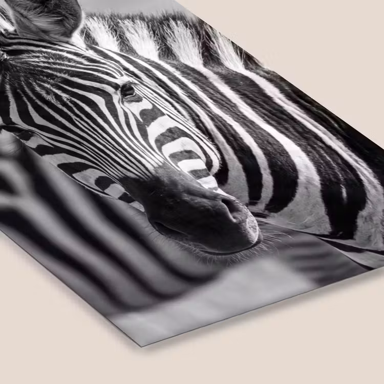 Poster met lijst - Zebra Kudde Zwart Wit — 7