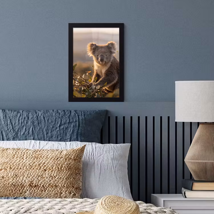 Poster met lijst - Koala Eucalyptus Zonsondergang — 3
