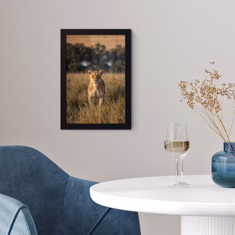 Poster met lijst - Leeuwin in Savanne — 4