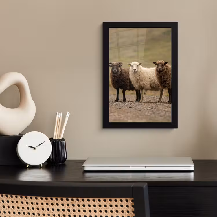 Poster met lijst - Drie Schapen op Onverharde Weg — 2