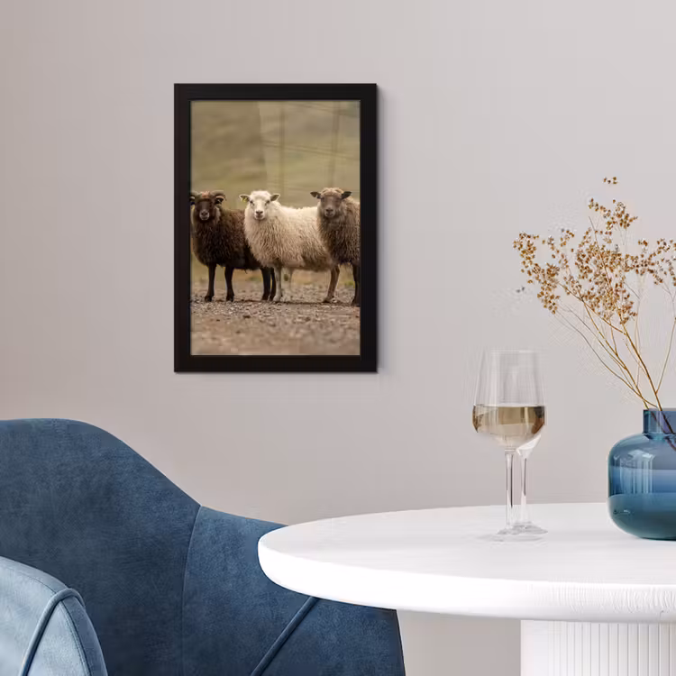 Poster met lijst - Drie Schapen op Onverharde Weg — 4