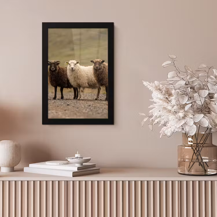 Poster met lijst - Drie Schapen op Onverharde Weg — 5