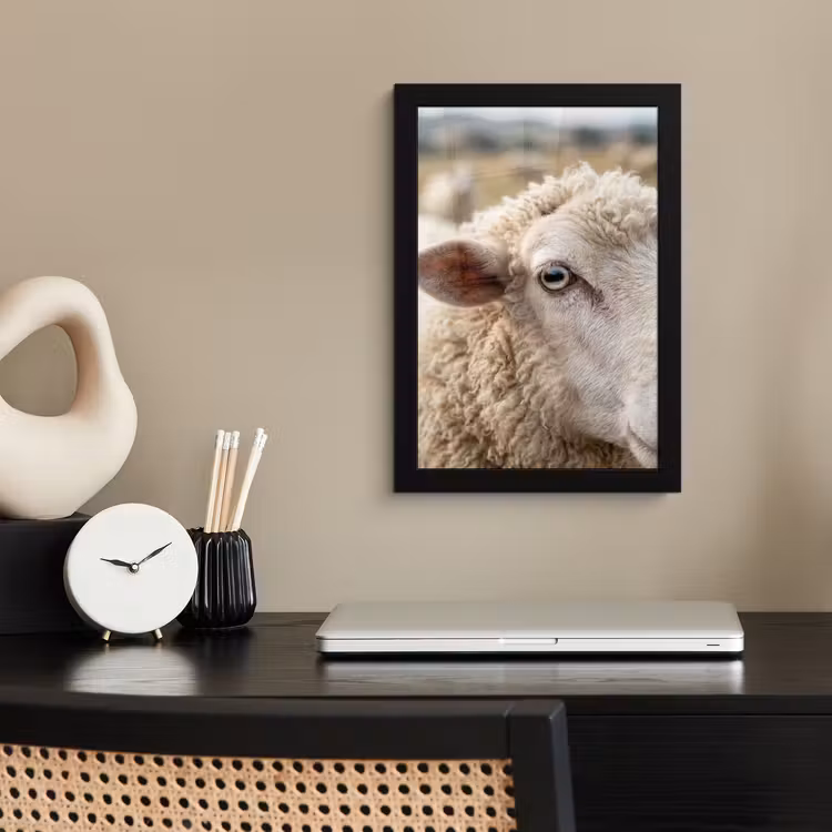 Poster met lijst - Schaap Close-up — 2