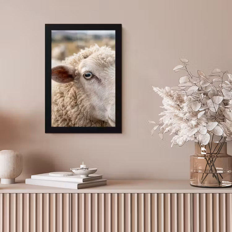 Poster met lijst - Schaap Close-up — 5