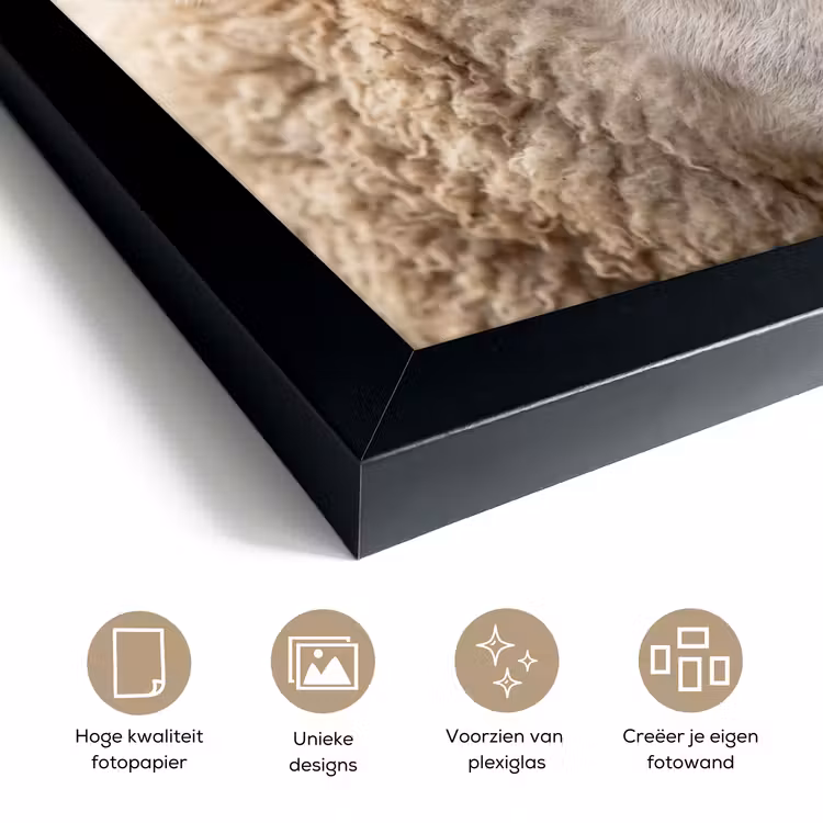 Poster met lijst - Schaap Close-up — 6