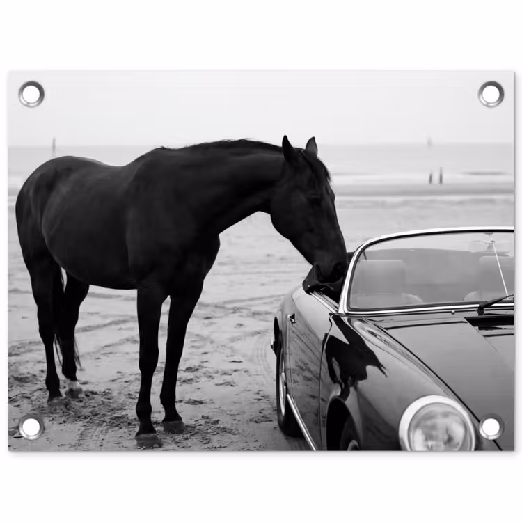 Tuinposter - Paard - Auto - Zwart - Wit