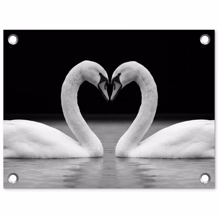 Tuinposter - Zwanen - Hart - Zwart - Wit