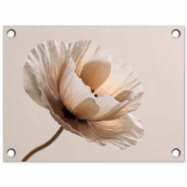 Tuinposter - Bloem - Beige - Crème