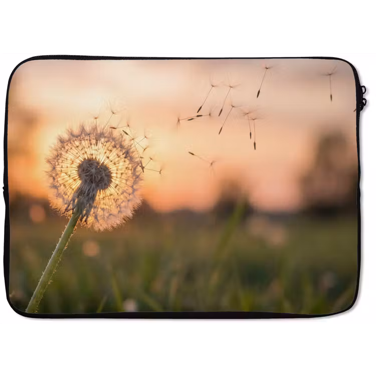 Laptophoes - Paardenbloem - Zonsondergang - Veld