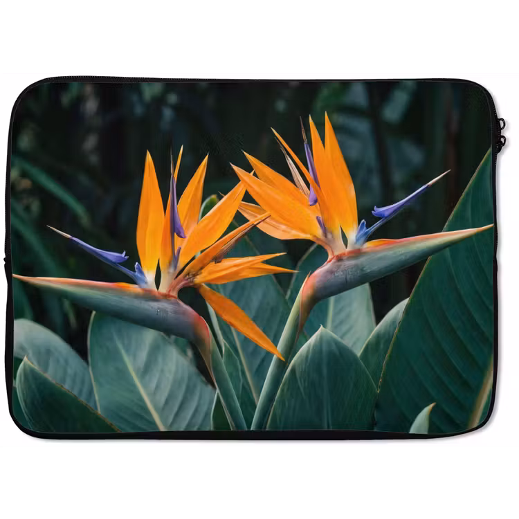 Laptophoes - Paradijsvogel - Bloem - Exotisch
