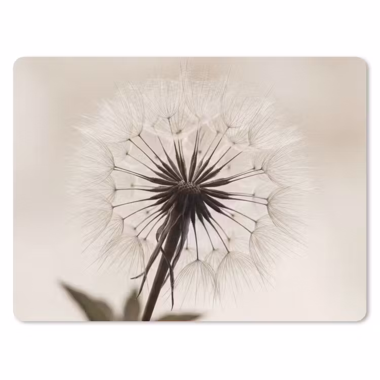 Muismat - Paardenbloem - Minimalistisch - Wit