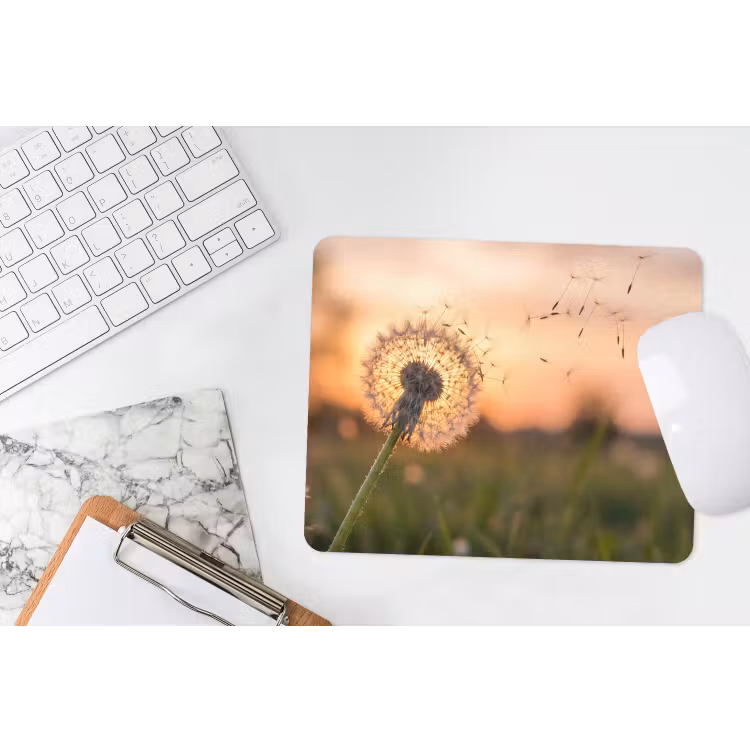 Muismat - Paardenbloem - Zonsondergang - Veld — 2