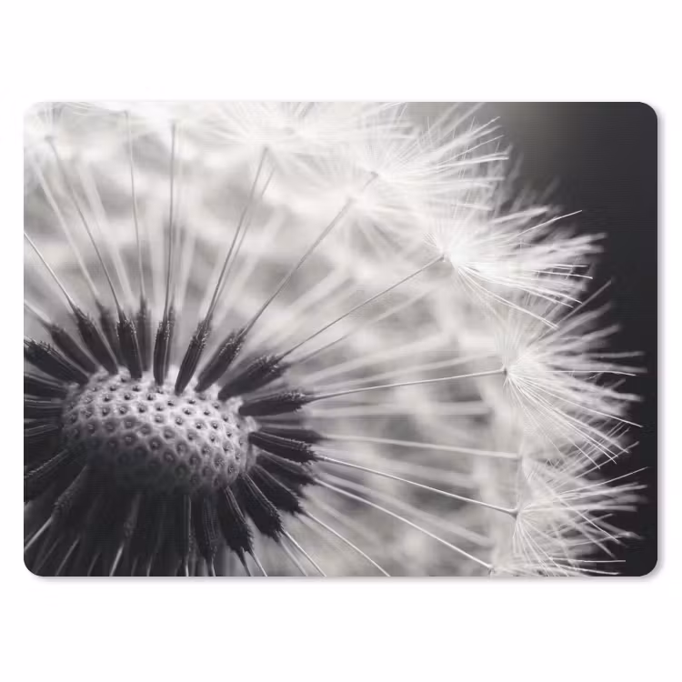 Muismat - Paardenbloem - Zwart - Wit