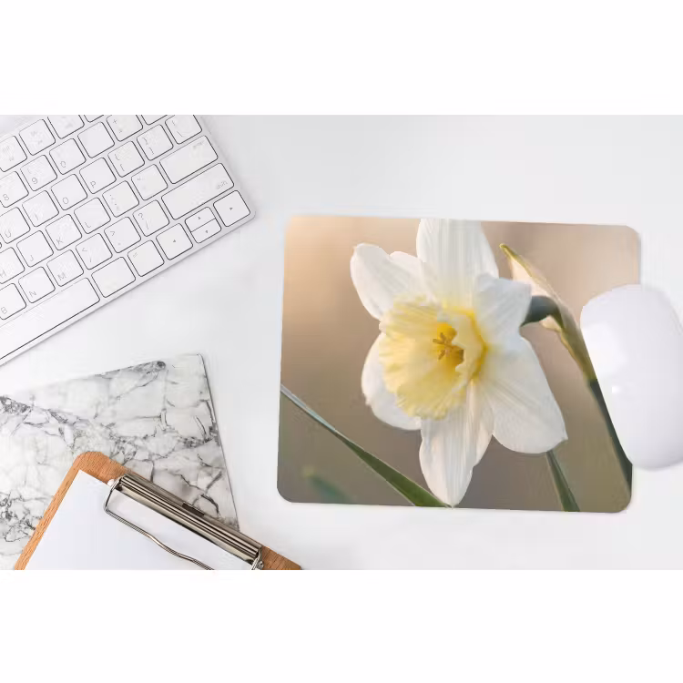 Muismat - Narcis - Bloem - Minimalistisch — 2
