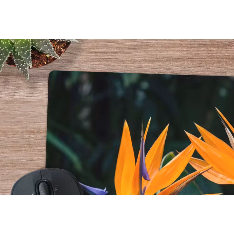Muismat - Paradijsvogel - Bloem - Exotisch — 4