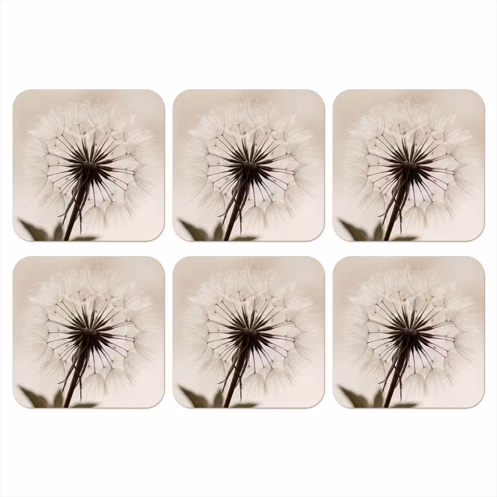 Onderzetter - Paardenbloem - Minimalistisch - Wit — 1
