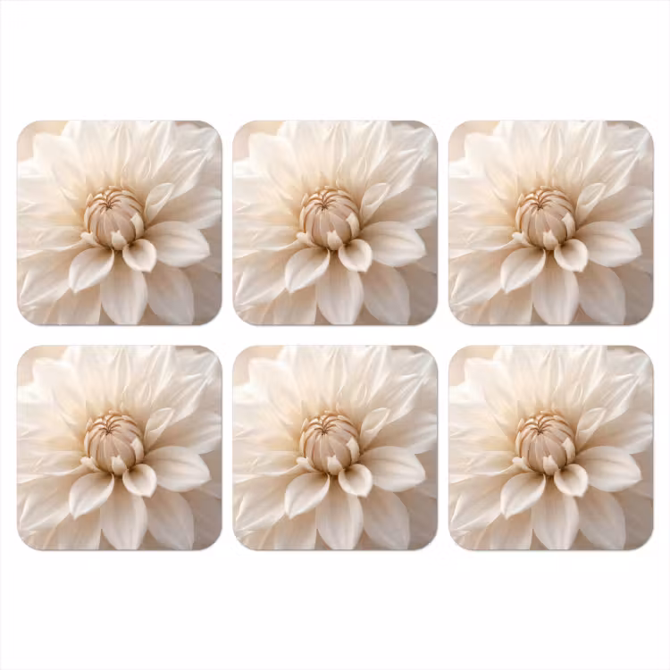 Onderzetter - Bloem - Dahlia - Wit