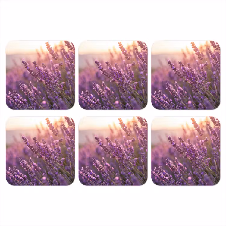 Onderzetter - Lavendel - Paars - Zonlicht