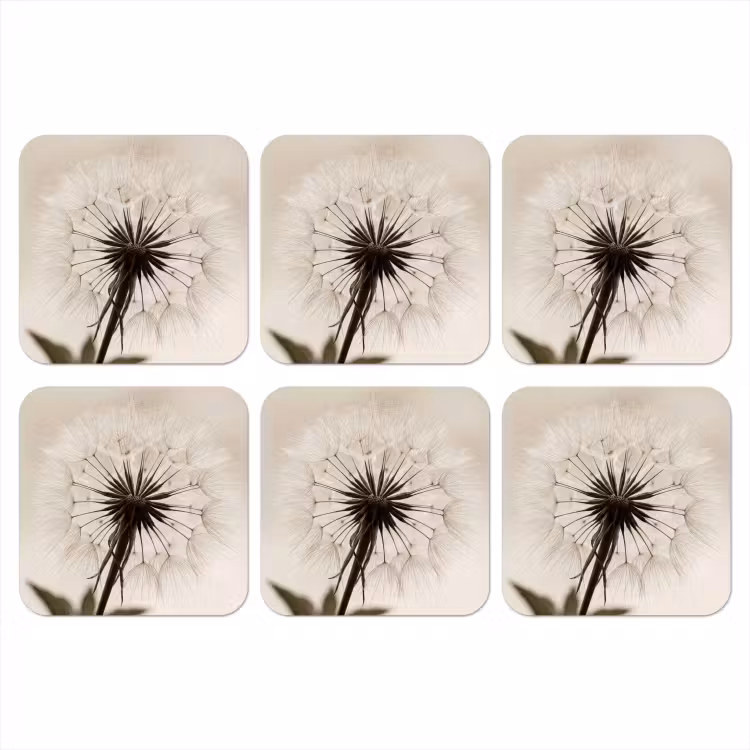Onderzetter - Paardenbloem - Minimalistisch - Wit