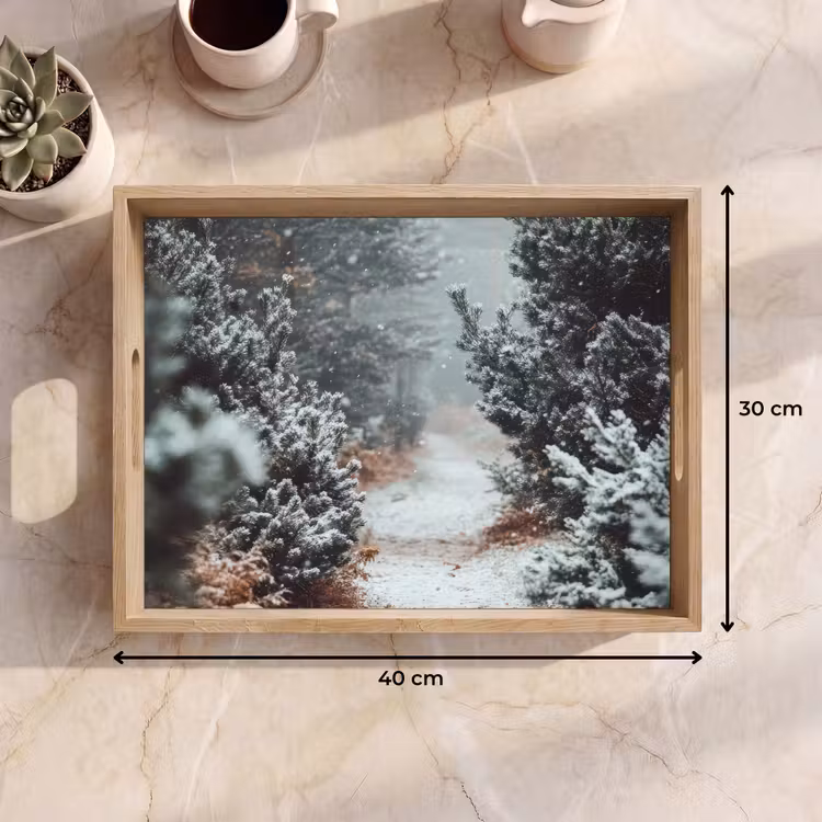 Dienblad - Bos - Winter - Bomen - Natuur - Pad - Sneeuw — 9